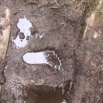 Bare foot print in mud