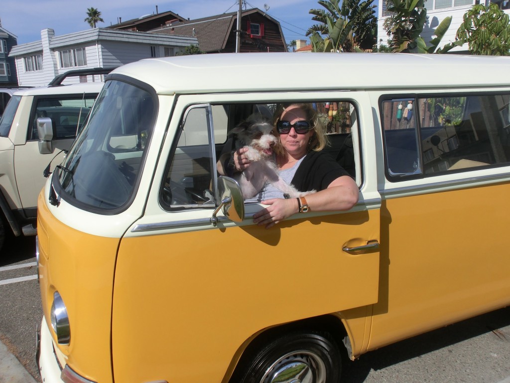 Noodle and Julie in VW microbus