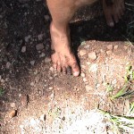 Ken Bob's muddy foot