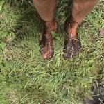 Ken Bob's muddy feet