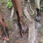 Herman, Ken dirty muddy feet