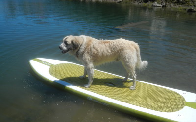 Psycho Herman on inflatable paddleboard