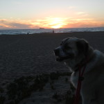 Sunset at Sunset Beach California