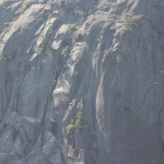 rocky cliffs with shrubs