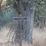 Nature Trail at Yosemite Pines Resort