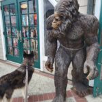 Kay (Siberian Husky) with sculpture of Yeti (Bigfoot)