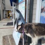 Kay (Siberian Husky) with sculpture of dolphin