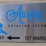 sing with mermaid graphic, Aurora Hotel, Catalina Island